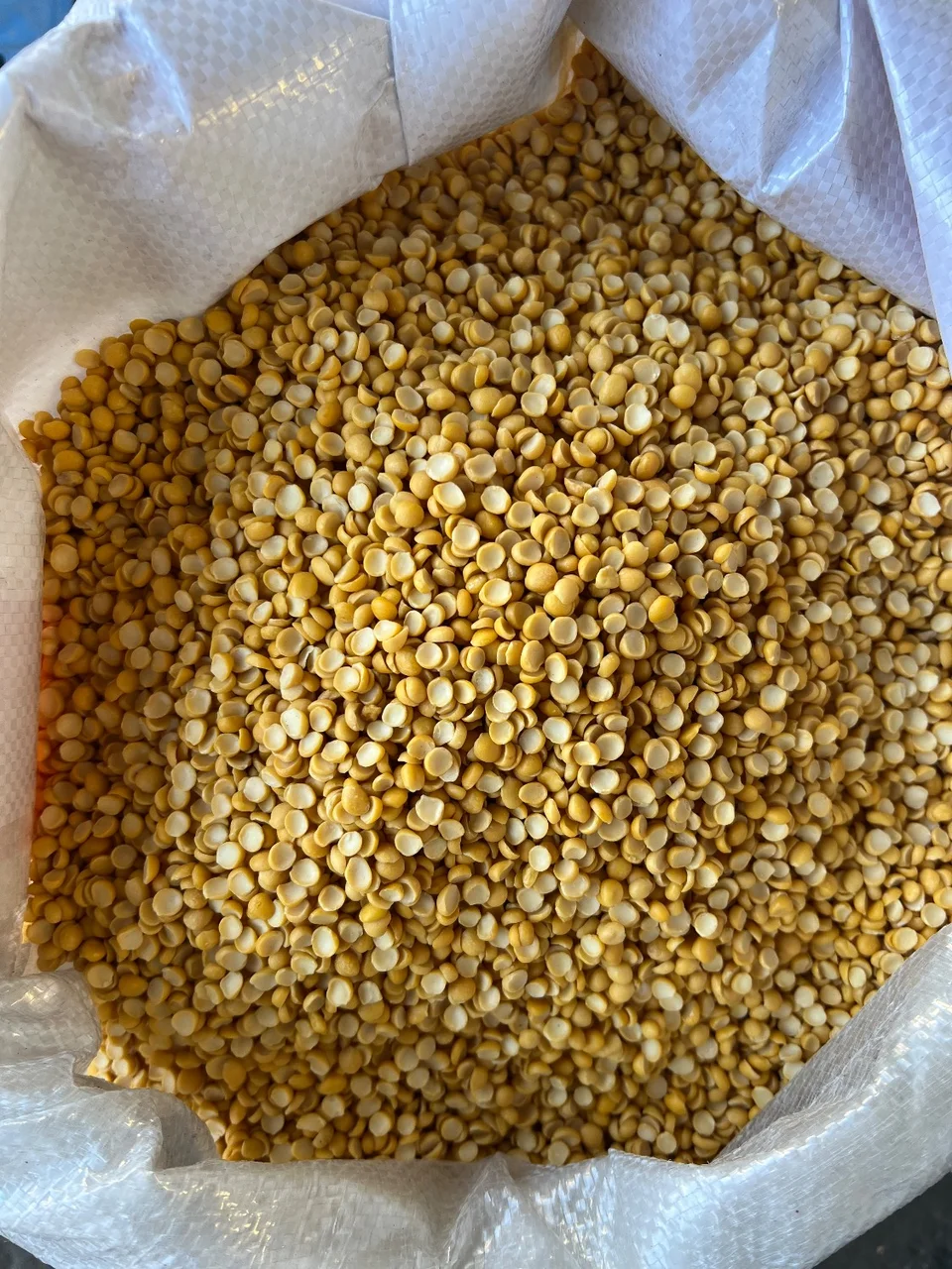 لپه ریز آذرشهر