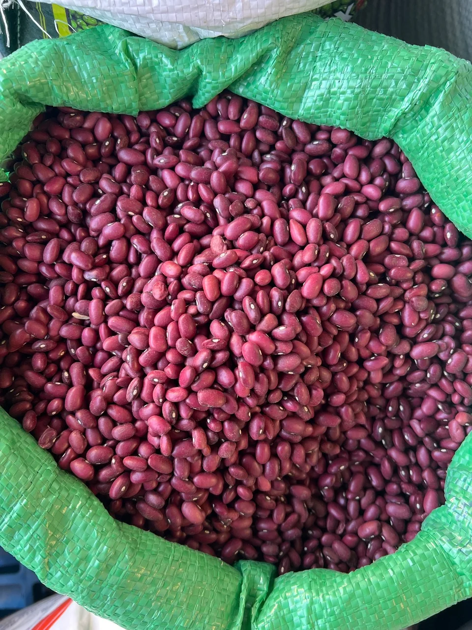 لوبیا قرمز خمین دستچین