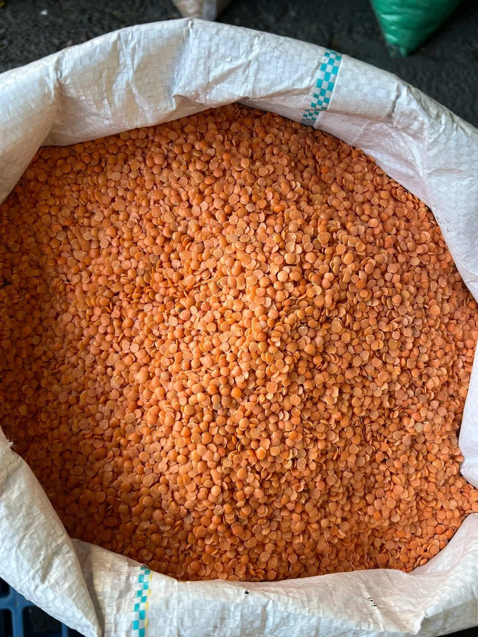 دال عدس کانادایی