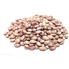 لوبیا چیتی ازبک