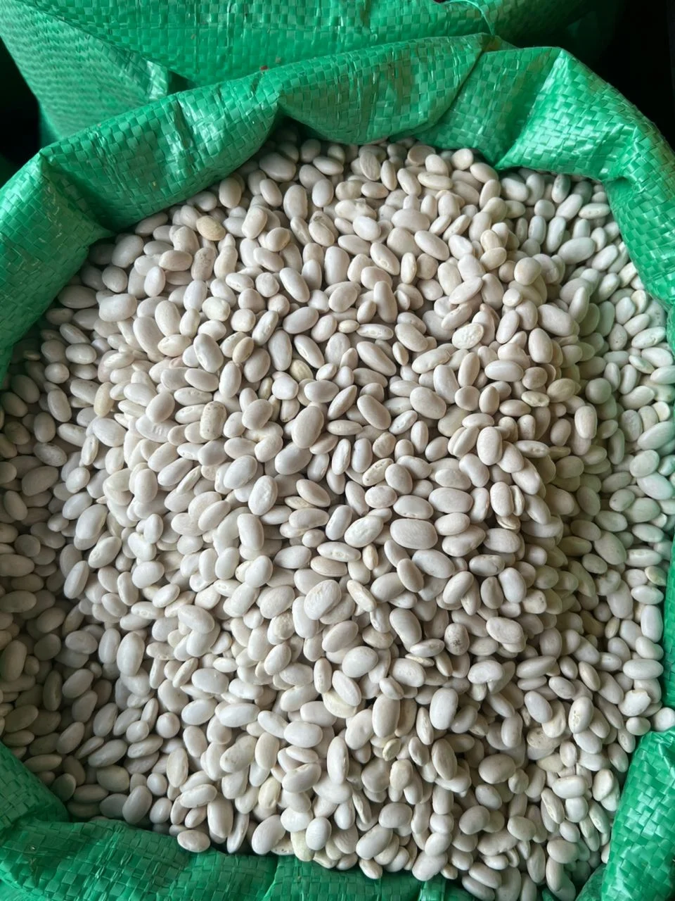 لوبیا سفید خمین دستچین