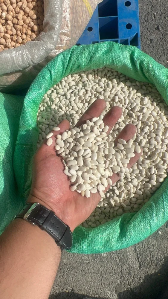 لوبیا سفید خمین دستچین